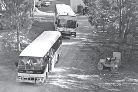 YC 9.jpg